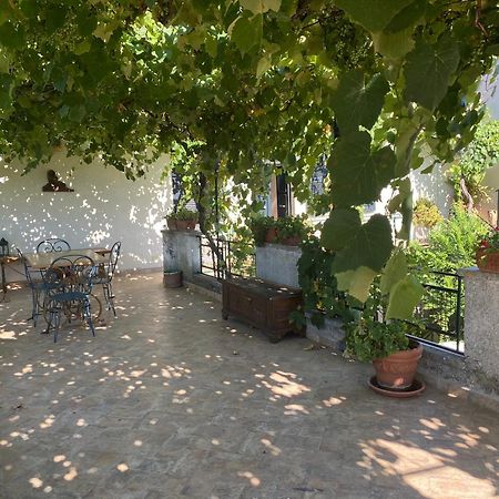 Alloggio Turistico La Stalla Tuscania Ngoại thất bức ảnh